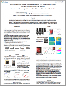 Measuring blood content, oxygen saturation, and scattering in cervical tissues using multi-spectral imaging