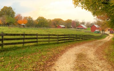 The challenge of providing sexual assault forensic exams in rural areas